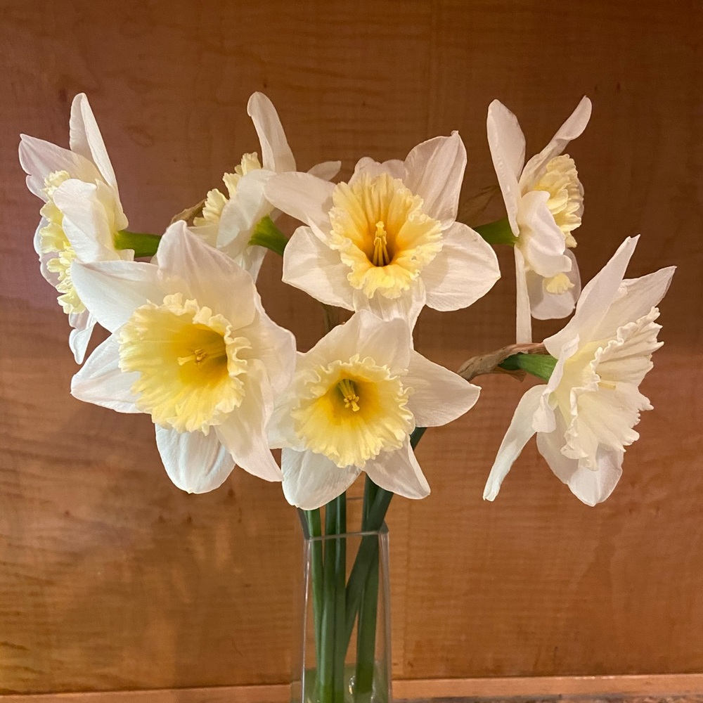 Meet your Posher, Rosa